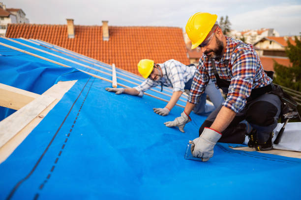 Best Flat Roof Repair Services  in Mitchell, IL
