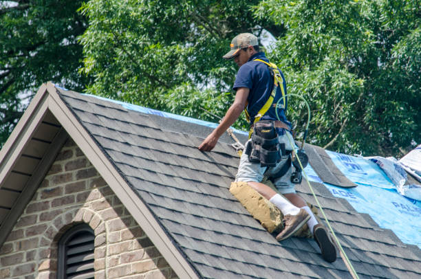 Best Roof Repair Specialists  in Mitchell, IL